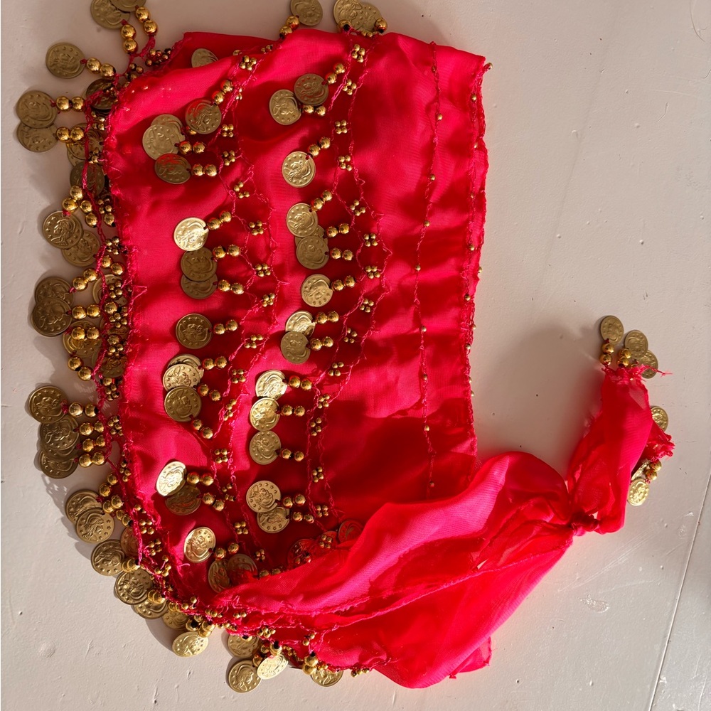 Fuchsia Coin Hip Scarf with Gold Coins for dogs - Picture 4 of 4